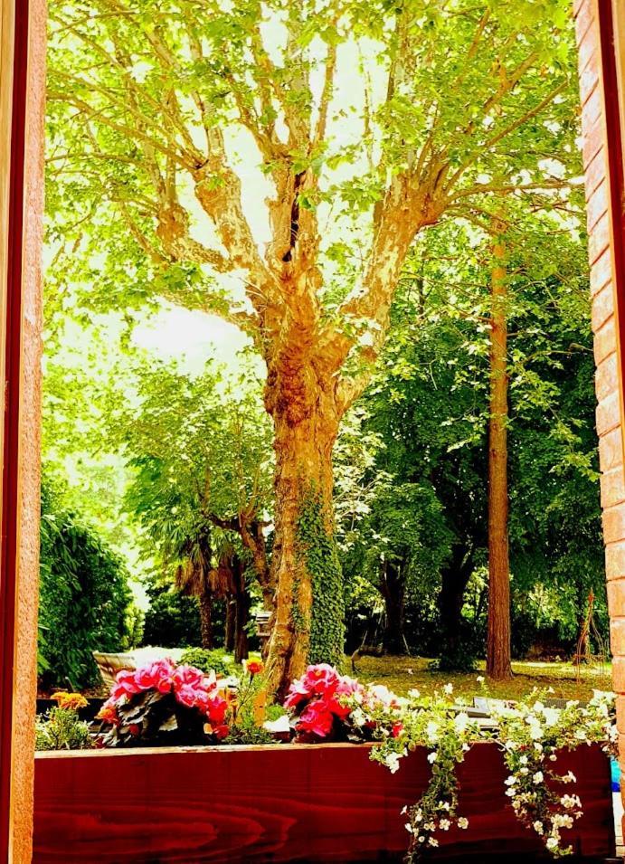Bed and Breakfast La Scierie Quillan Esterno foto
